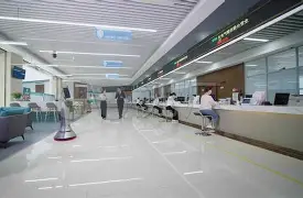 夏洛的网测试题